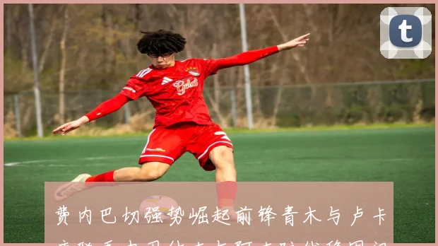 费内巴切强势崛起前锋青木与卢卡库联手中卫什克与阿克防线稳固门将埃德松实力不容小觑